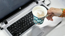 Капля кофе убивает ноут: как не стать жертвой цифрового апокалипсиса