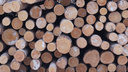 С начала года леспромхозы ГК «Титан» заготовили полтора миллиона кубометров древесины