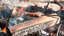 В Ярославле запретят разводить костры и сжигать мусор