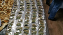 «Они соблюдали конспирацию»: в Самаре полицейские изъяли более 14 кг синтетики