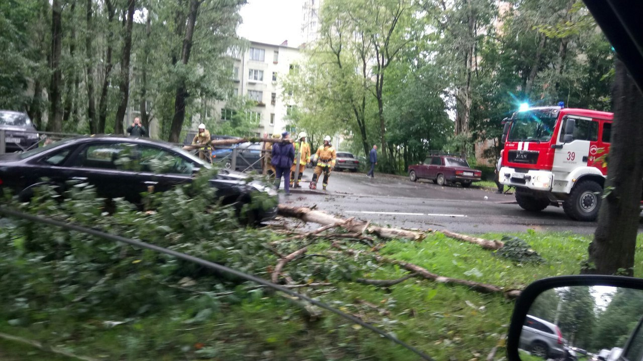 Людмила Иванова