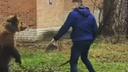 Полиция ищет мужчину, гулявшего по Таганрогу с медведем