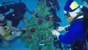 Новый год на дне: ростовские дайверы нарядили елку под водой