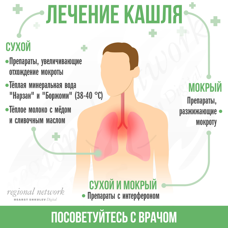 Правильное лечение кашля: лучшие средства чтобы вылечить кашель взрослому и  ребенку - 6 октября 2017 - 74.ru