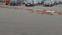 На Богоявленской площади в Ярославле рассыпали кирпичи