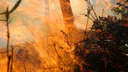 Пожарные Поморья приняли участие в тушении лесных пожаров под Салехардом