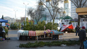 Лучше поздно, чем никогда: в Ростове закрыли 13 незаконных елочных базаров
