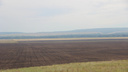 Аграрии Самарской области ежедневно засеивают около 100 тысяч гектаров полей