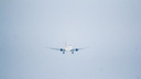 Самолет с 236 пассажирами на борту вылетел из Самары в Анталью после 13-часовой задержки