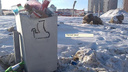 «Полный треш!»: Артемий Лебедев оценил самарские мусорки