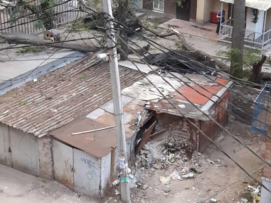 На Ленина упавшее дерево разрушило гараж