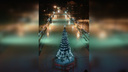 «Посередине елка с огоньками»: в Самаре пройдет праздничное открытие катка в парке Дружбы