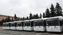 «Экологичные, вместительные и эффективные»: Челябинск получил 10 новых автобусов
