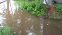 Работу канализации на улице Серафимовича восстановят в ближайшее время