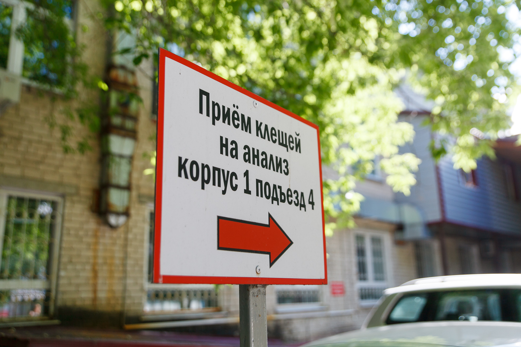 Лаборатория, где исследуют клещей, находится на улице Холодильной, возле роддома №2 и женской консультации Лаборатория, где исследуют клещей, находится на улице Холодильной, возле роддома №2 и женской консультации