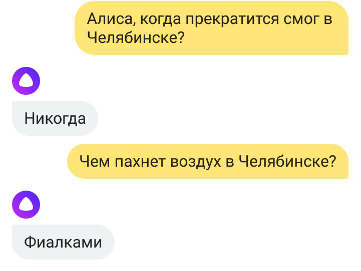 Воздух в Челябинске пахнет фиалками Воздух в Челябинске пахнет фиалками