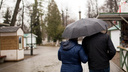 Дожди и ветер в Ярославле усилятся: прогноз синоптиков на выходные