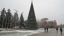 Синоптики: в Ростове ожидается снег с дождем