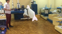 Ростовский школьник изобрел квадролет, который даст фору квадрокоптеру