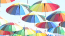 Администрация Волгограда начала борьбу с цветными зонтиками и счастьем на Аллее Героев