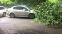 В центре Челябинска второй раз за неделю дерево упало на машину