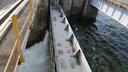Волжская ГЭС начинает максимальный сброс воды