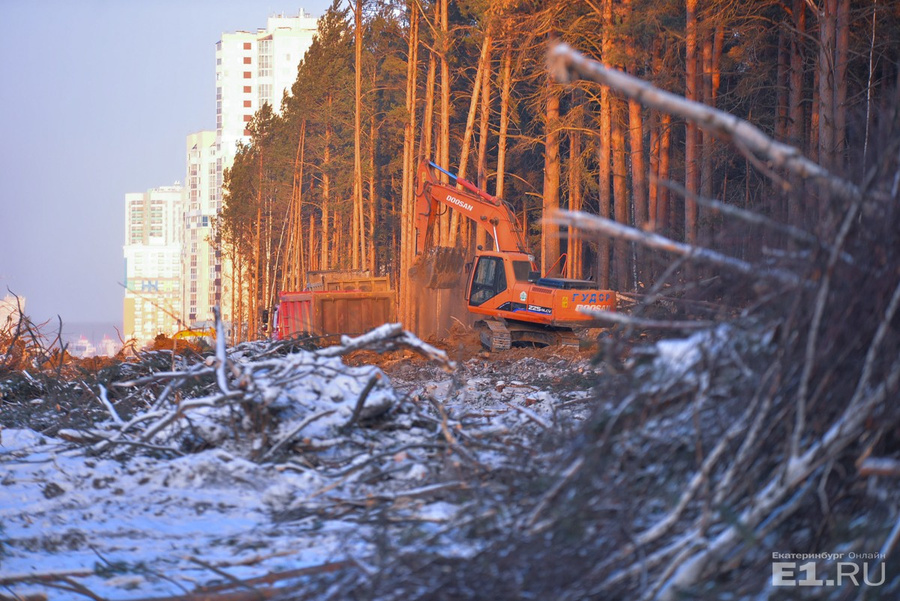 Кстати, именно на отрезке проспекта Сахарова, который прорубают сквозь лес (между Чкалова и Амундсена), <a href="http://www.e1.ru/news/spool/news_id-485155.html" target="_blank">должны построить медицинский кластер </a>