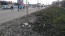 «Выжженная земля»: самарцы пожаловались на «пустые» газоны на Московском шоссе