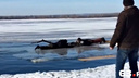 В Тольятти очевидцы спасли ушедшего под лед рыбака