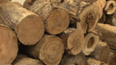 В Исакогорском округе сторожка сгорела из-за длинных дров в печи
