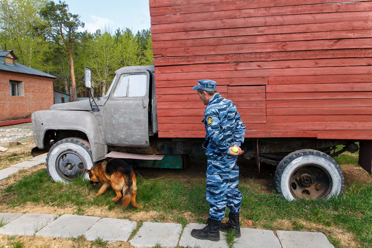 Для Сергея Пачежерцева Бахус стал вторым служебным псом Для Сергея Пачежерцева Бахус стал вторым служебным псом