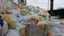 Прокуратура нашла нарушения в цехе по утилизации медицинских отходов под Челябинском