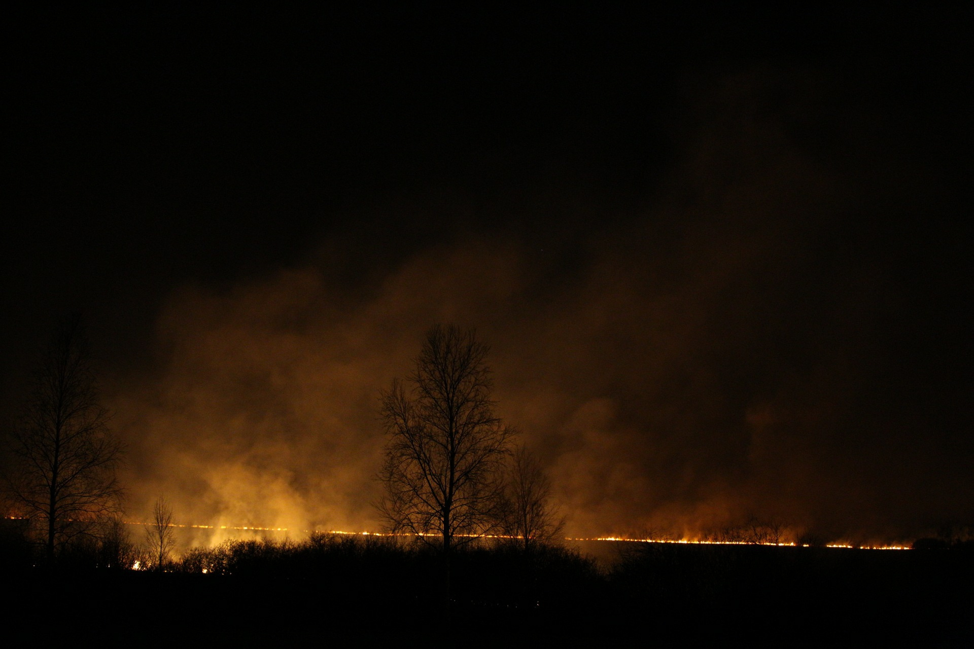 На утро 14 мая в Челябинской области было 63 действующих природных пожара