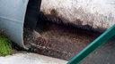 «Мутная жижа со специфическим запахом»: ростовчане пожаловались на сброс бытовых отходов в Темерник