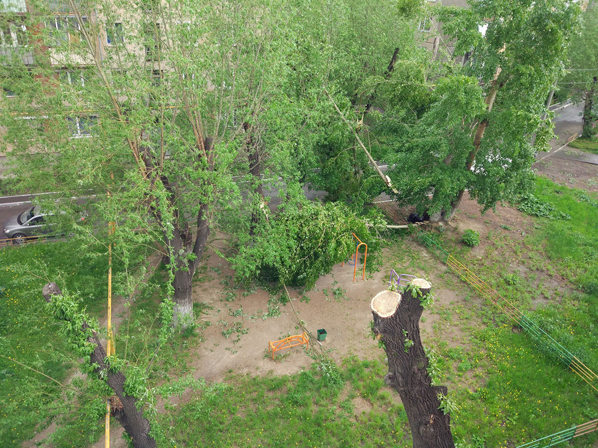 Во дворе Барбюса, 69В дерево повалило прямо на качели на детской площадке