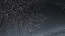 Микрокосмос в объективе: 63.ru снял, как замерзает мыльный пузырь