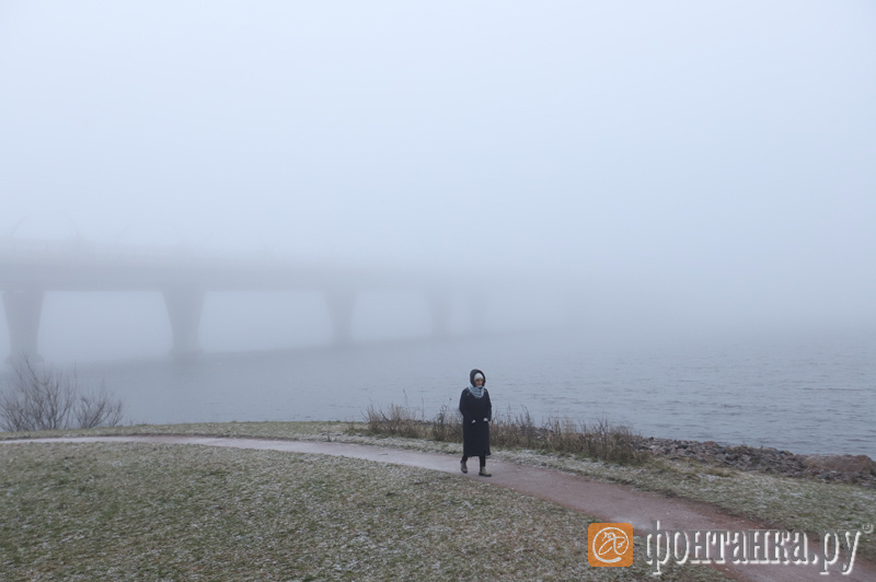 Накрыло город невидимой. Питер в тумане. Санкт-Петербург в тумане фото. Санкт-Петербург в тумане Пулковские. Комарово-Санкт-Петербург туман.