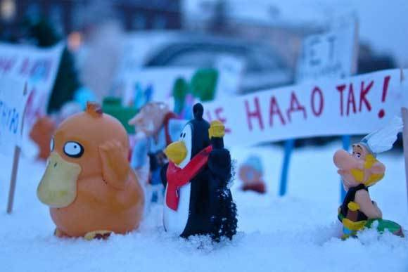 Фото из группы организаторов на сайте "ВКонтакте"