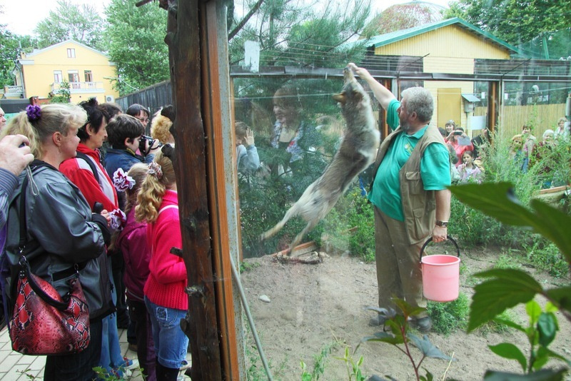 Источник: официальный сайт Ленинградского зоопарка