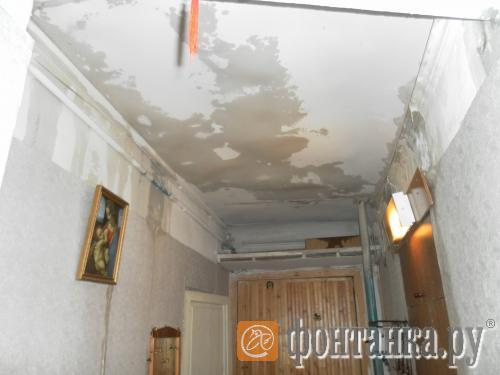 Фото с сайта zalivaet.spb.ru
