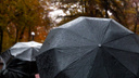 Синоптики: дождь в Ростове будет идти все выходные