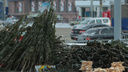 На улицах Челябинска развернут 200 ёлочных базаров