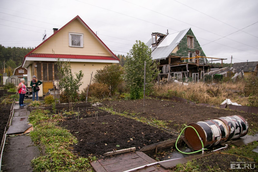 Галина Степановна уже думает ставить забор от такого соседа, чтобы сорняки не лезли на её участок.