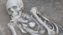 Человек эпохи бронзы: челябинские археологи нашли погребение с тысячелетней историей