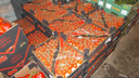 В Самарской области уничтожили 240 кг томатов черри из Турции