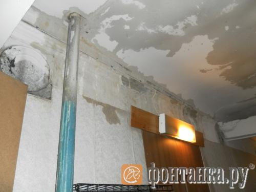 Фото с сайта zalivaet.spb.ru