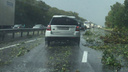 Дождь валит деревья на трассе под Ростовом