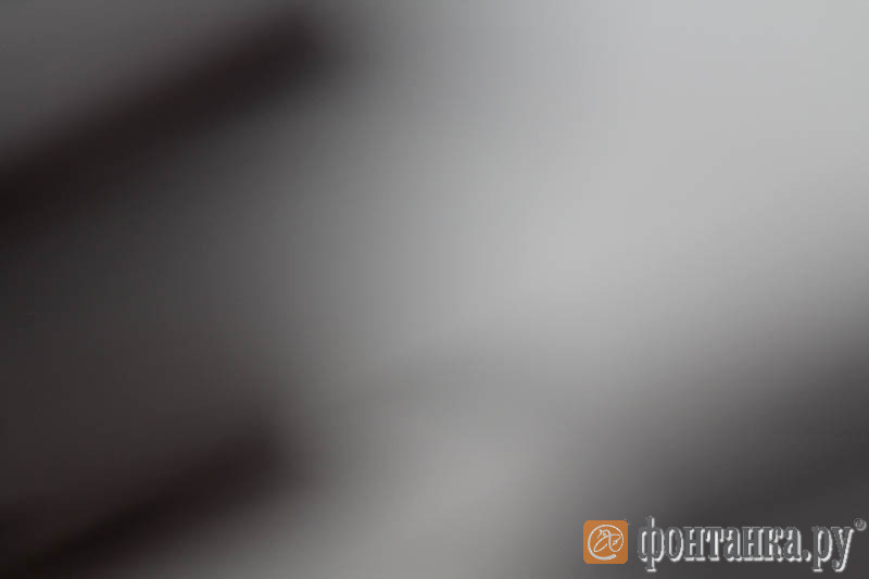 Благодаря охране, дальнейшие кадры были полны экспрессии