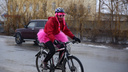 Волгоградские «феи» на велосипедах рассмешили водителей и коров