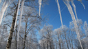 Морозы придут в Архангельскую область в середине недели